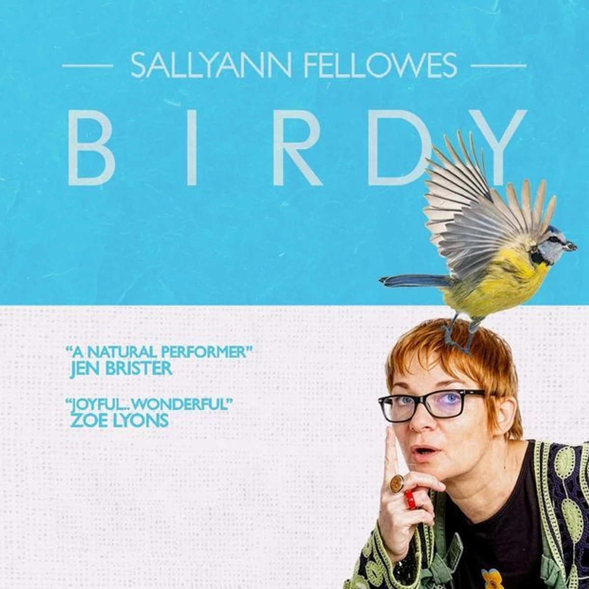 Sallyann Fellowes - Birdy